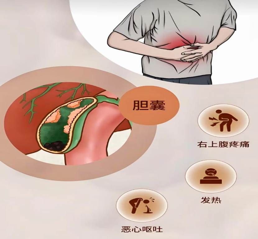 微信图片_20260308202858_146_47 微信图片_20260308202858_146_47