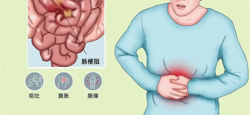 微信图片_20260308203132_147_47 微信图片_20260308203132_147_47